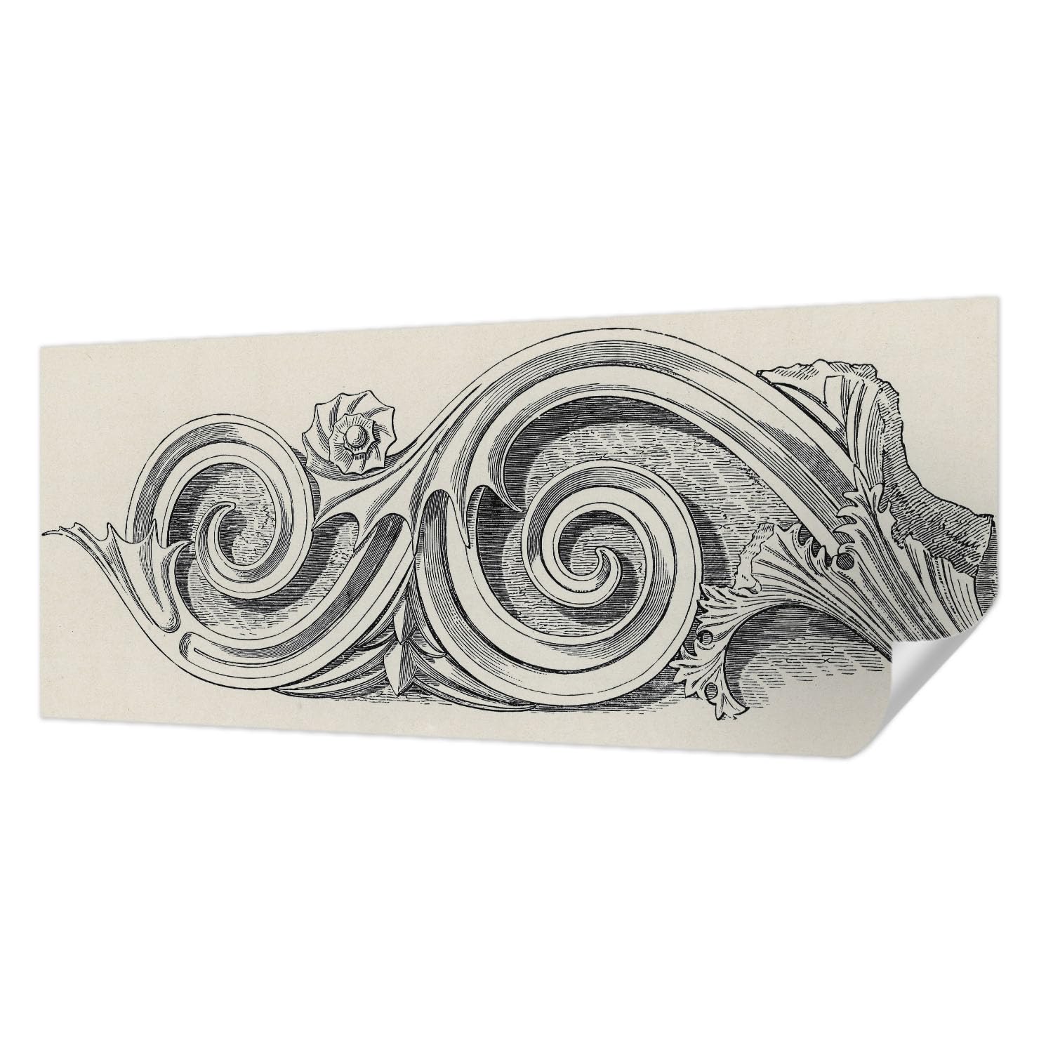 Papier peint plante ornementale pour salon et chambre moderne