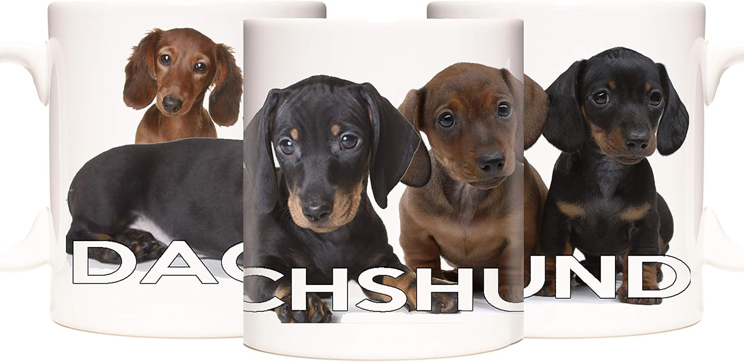 dachshund merchandise amazon
