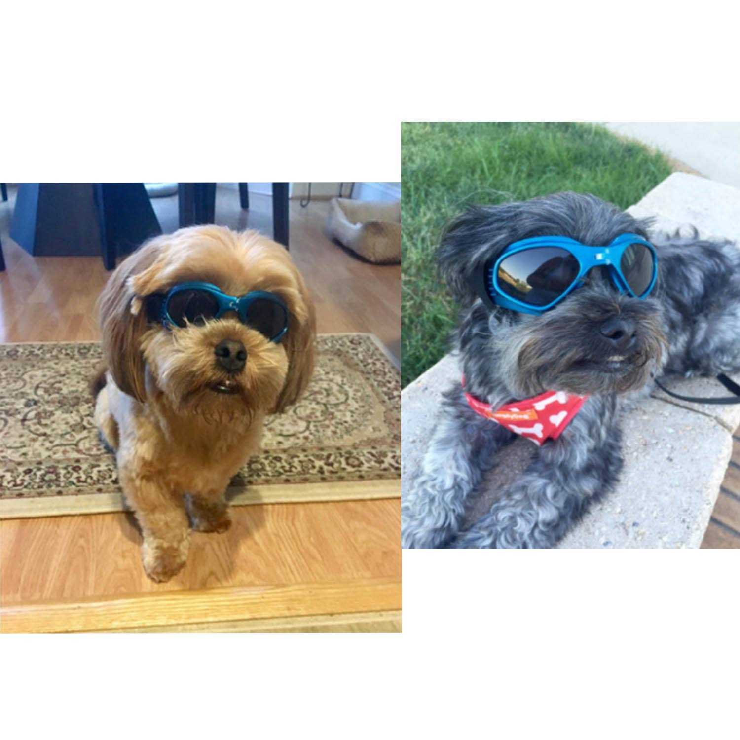 Occhiali da Sole e protettivi per cani di piccoli taglia, anti UV, impermeabili, Pieghevole Pet Dog Occhiali (Blu)
