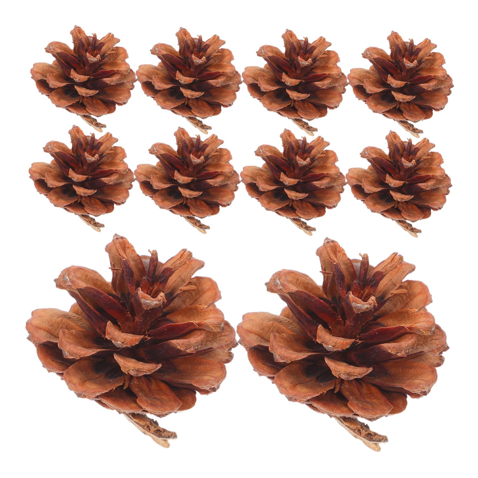 Petites pommes de pin naturelles pour vases centres de table automne