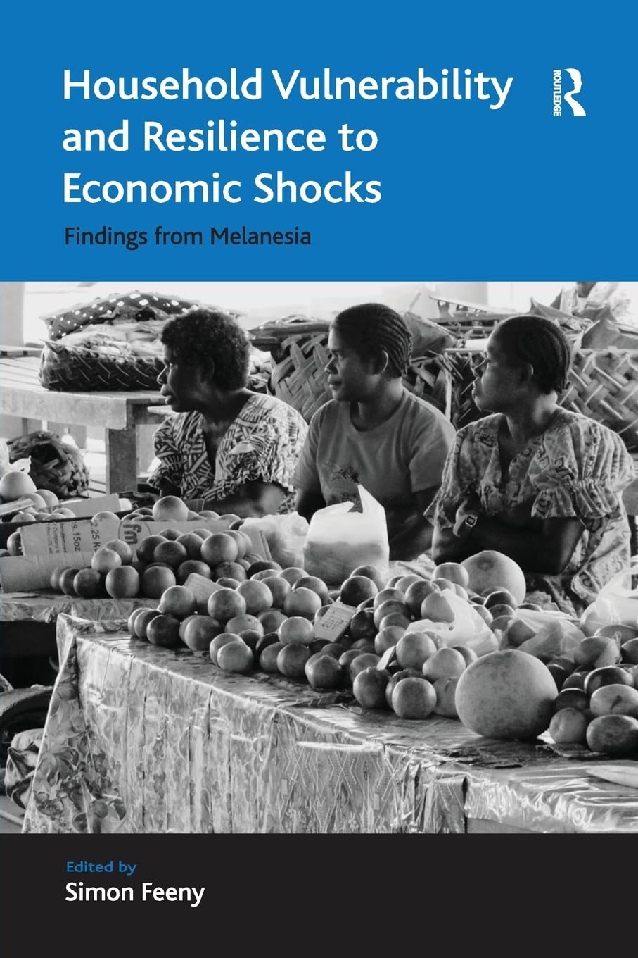Household Vulnerability and Resilience to Economic Shocks: Findings from Melanesia (Ashgate Economic Geography) Paperback – 28 November 2016
