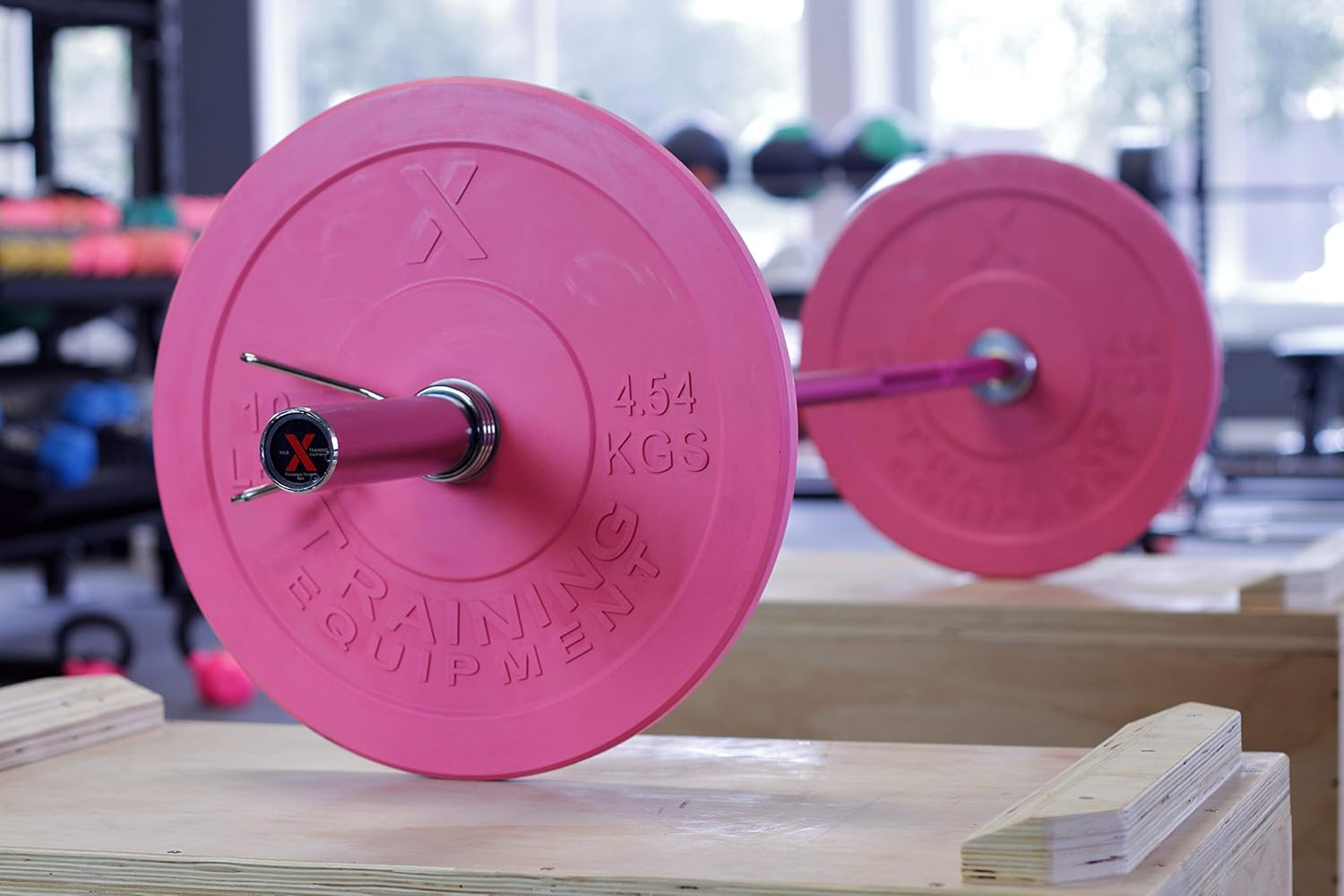 x training bumper plates