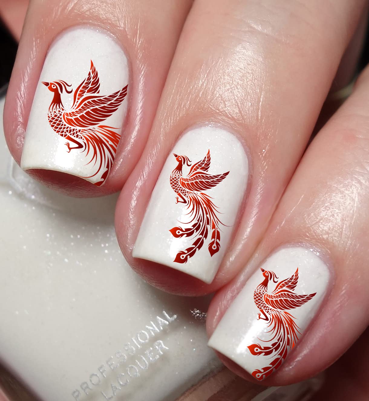 Amazon.com: Phoenix Nail Art Decal Sticker : Beauty & Personal Care