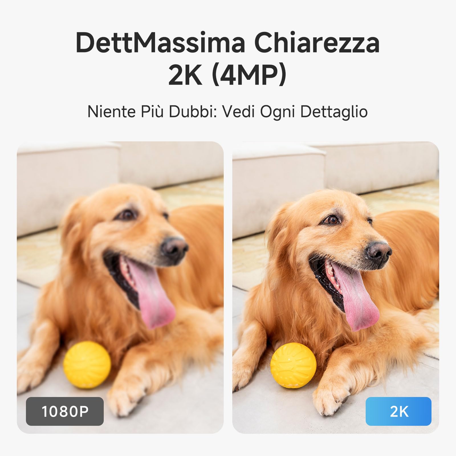 Noorio 4MP Überwachungskamera für Baby und Haustier mit 2.4GHz WLAN
