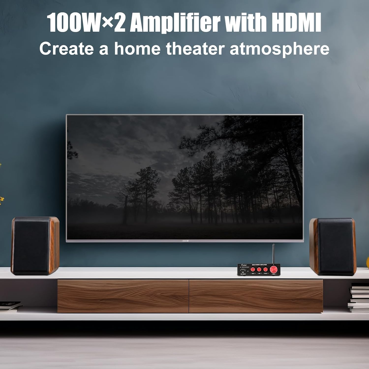 Bluetooth 5.0 Stereo Audio 2 Channel Power Amplifier Receiver, Mini Hi-Fi Class D Integrated Amp 2.0 CH for Passive Speakers, 100W x 2 with Bass and Treble Control (DA1002C)