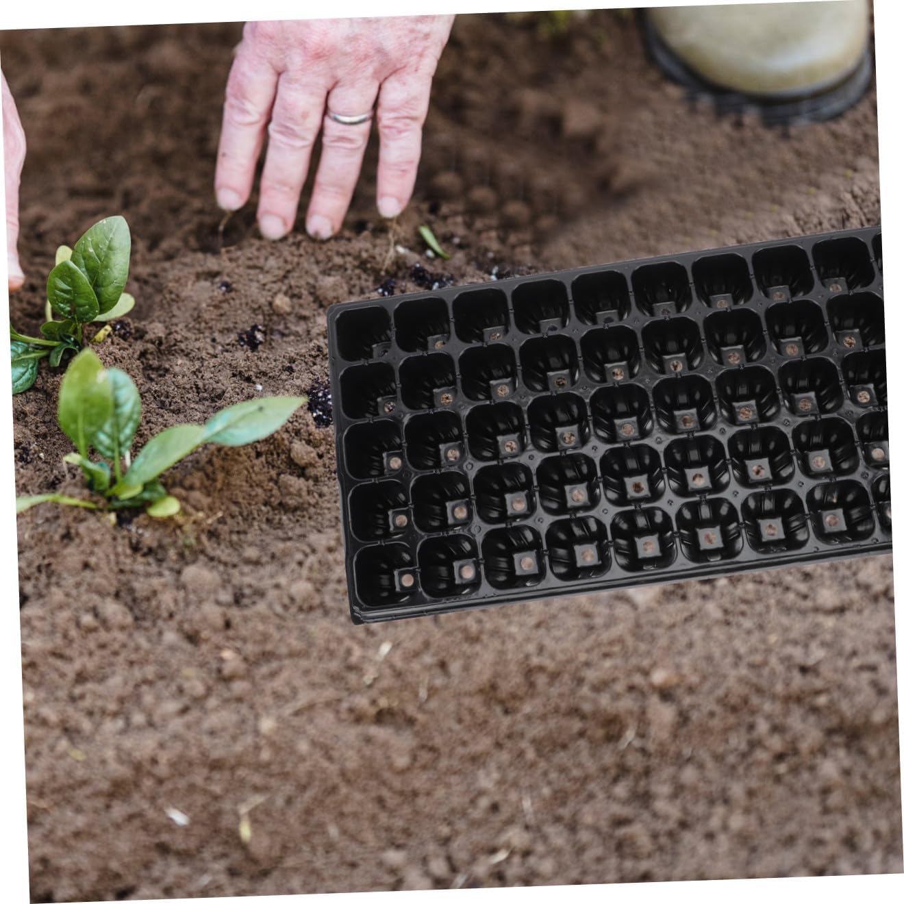 jojofuny 10pcs Thickened Germination Trays Plant Starter Nursery Plates 50-Cell Plastic Vegetable Planting Boxes for Seed Starting and Indoor Gardening