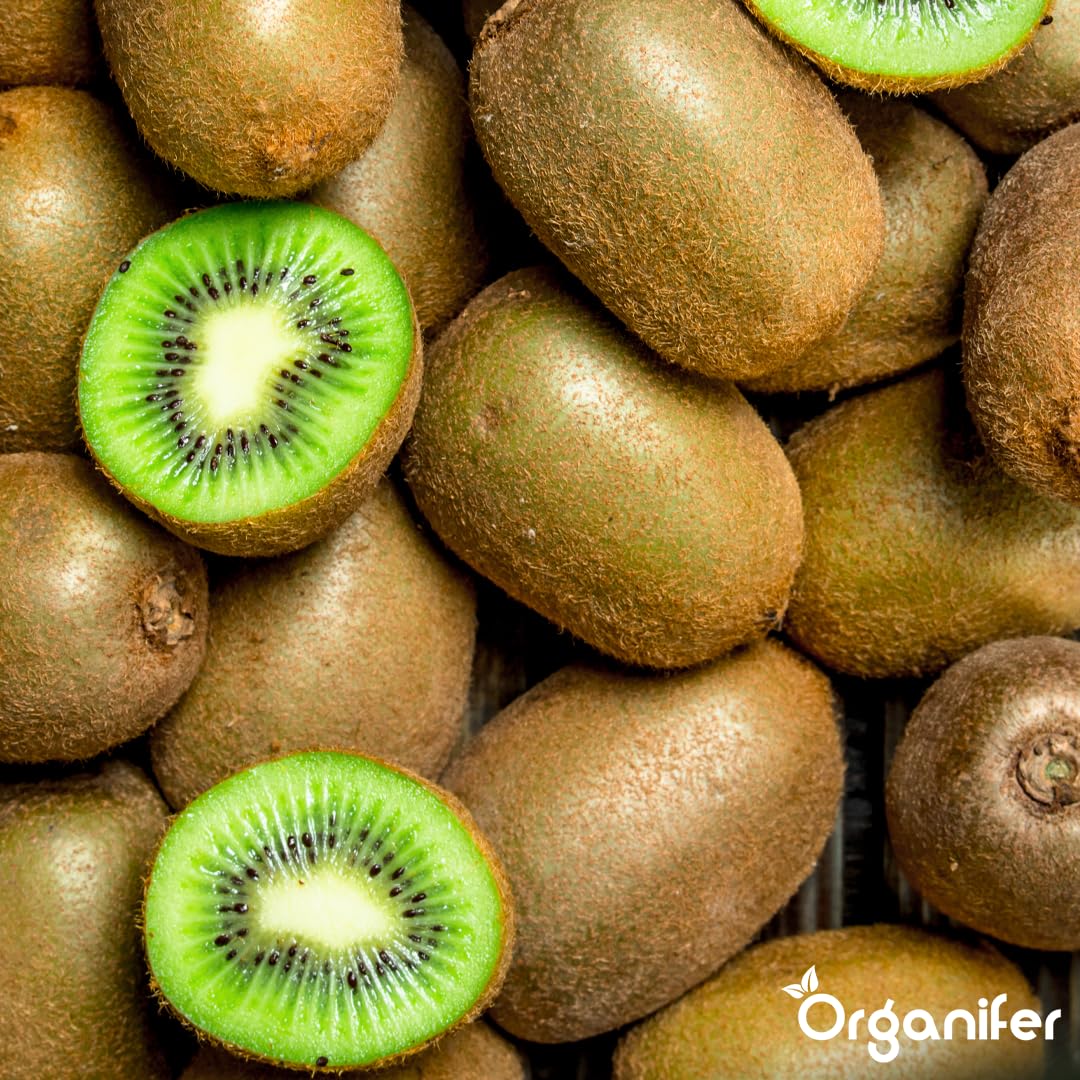 Fertilizante Líquido Orgánico 2x1L Para Kiwi – Favorece Hojas Lujosas Y Frutas Saludables – Organifer