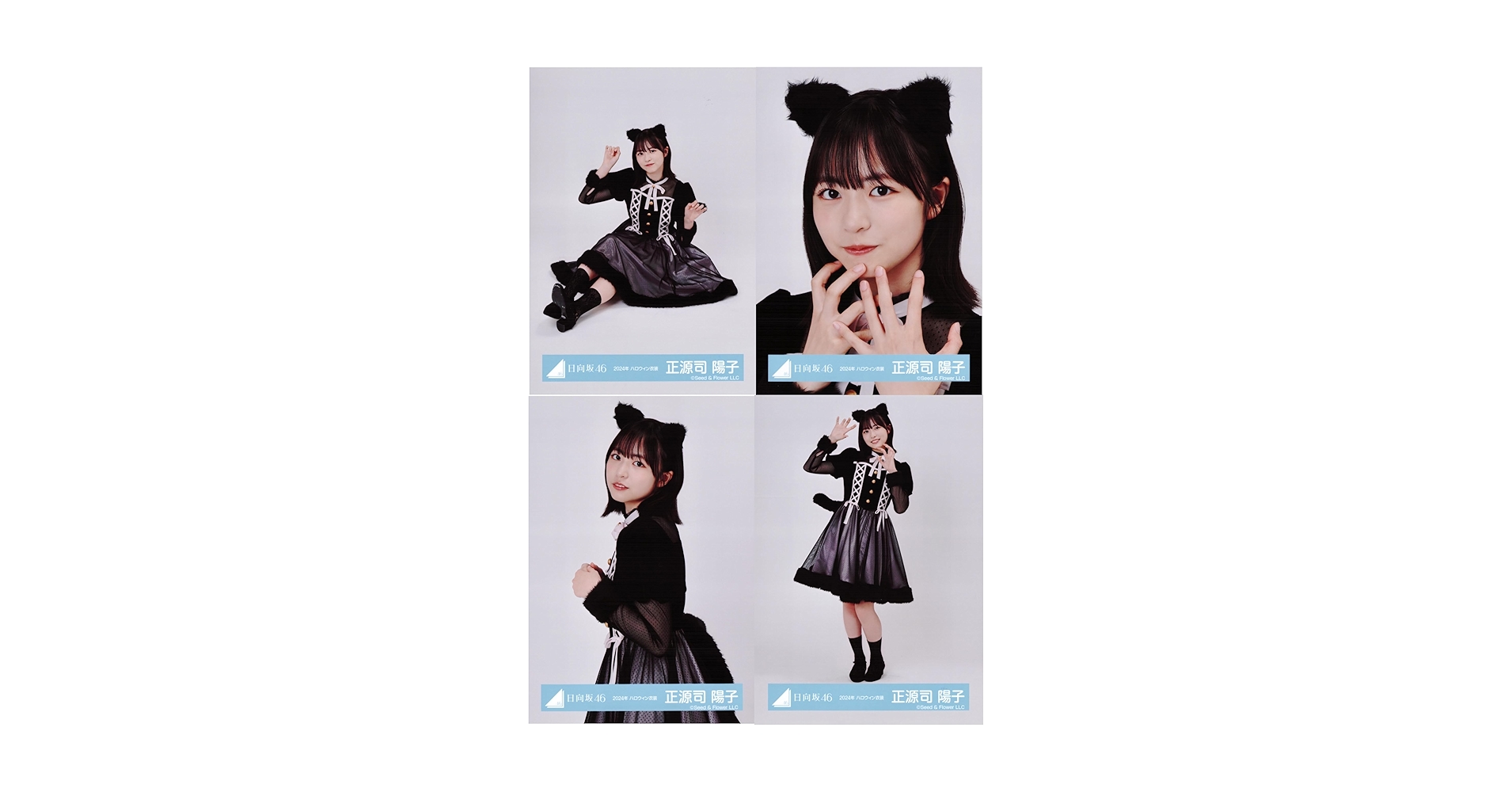 日向坂46 生写真　ライブ　年末歌唱　ハロウィン　読書　16種コンプ　正源司陽子 日向坂46 ライブ 年末歌唱 ハロウィン 読書 生写真 16種コンプ
