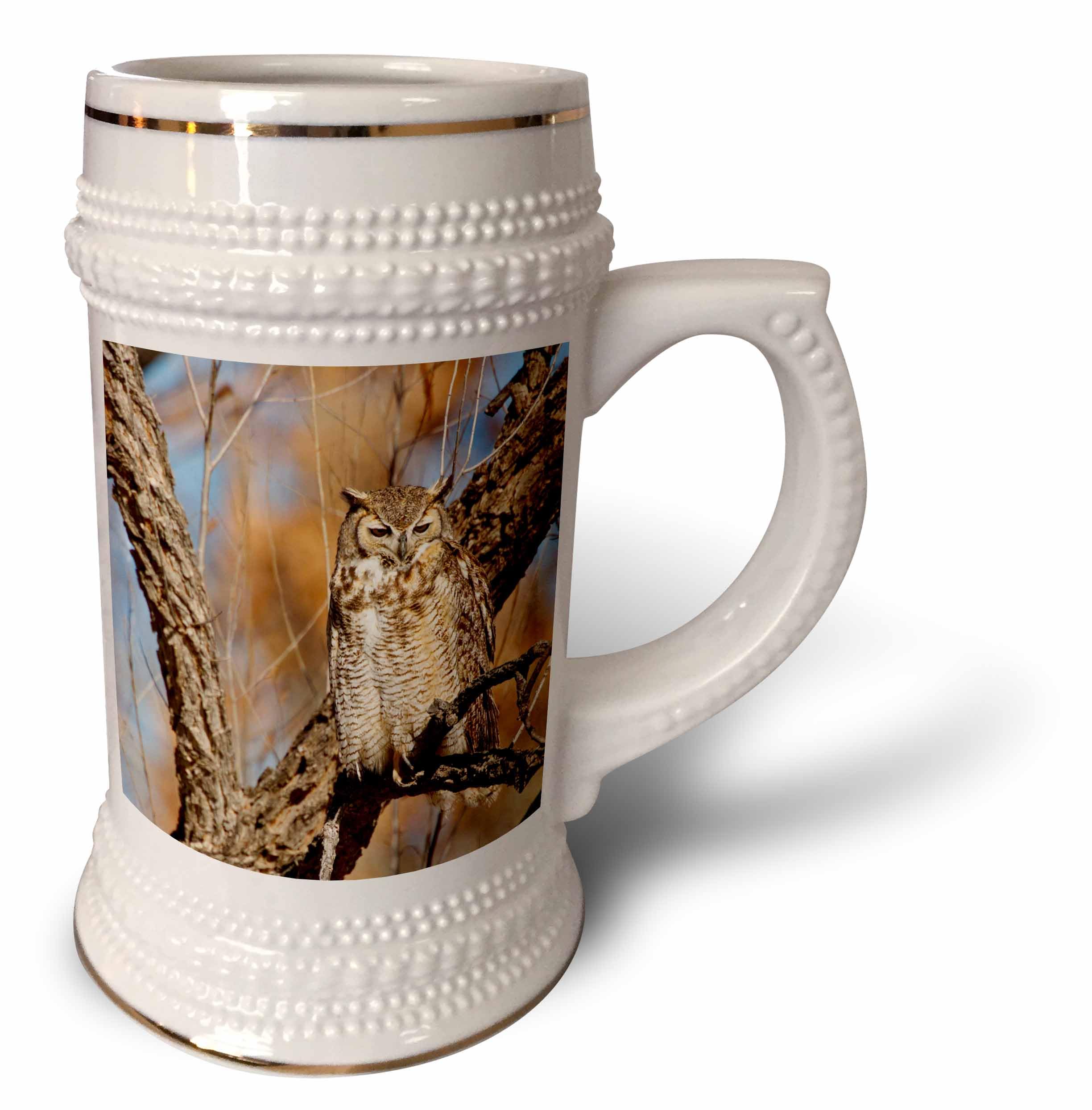 Taza de búho cornudo 3dRose Larry Ditto para café y té 510 ml