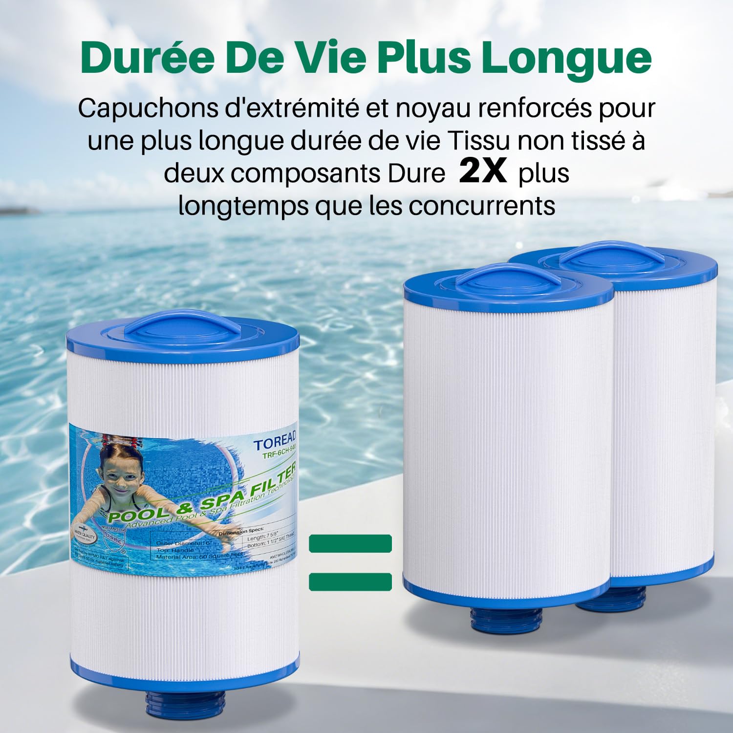 TOREAD - Lot de 2 filtres de Remplacement pour Spa Unicel 6CH-940, PWW50P3 (Pas PWW50P4), Filbur FC-0359, 817-0050, 25252, 03FIL1400 - Filetage SAE 3,8 cm