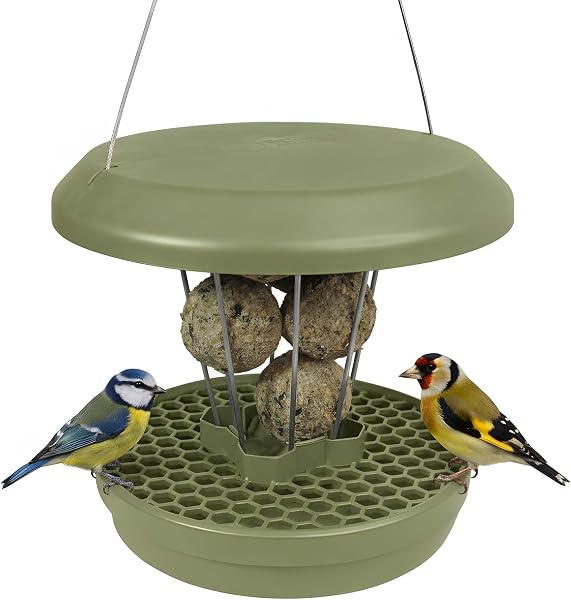 SWISSINNO Mangeoire à Oiseaux Extérieur - Distributeur de Boules de Graisse pour Petit Oiseaux - Anti-Rats et Anti-Souris - Lucerne Smart Birds - Porte-Boules de Graisse avec Récupérateur - Sauge - 1