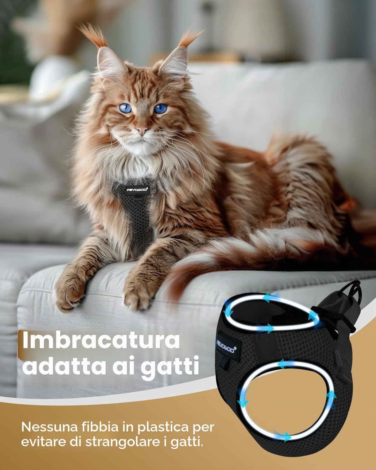 FAYOGOO Pettorina Gatto Piccolo, Guinzaglio per Gatti Pettorina Gatto Antifuga, Regolabili con Rivestimento Riflettente Guinzaglio per Cuccioli o Gatti Passeggiate all'aperto