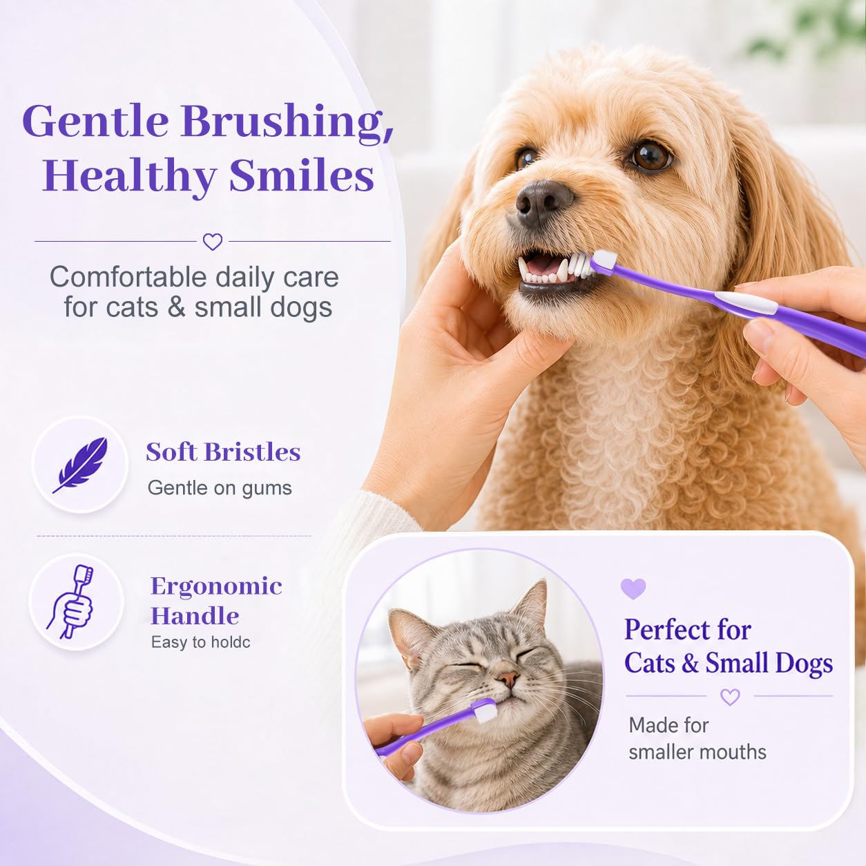 Zero-Pressure Haustierzahnbürste für Katzen und kleine Hunde, Violett | Sanfter Zahnfleischkomfort. Hygienischer Standfuß. Weiches Bürstgefühl. Einfache tägliche Routine für empfindliche Mund.