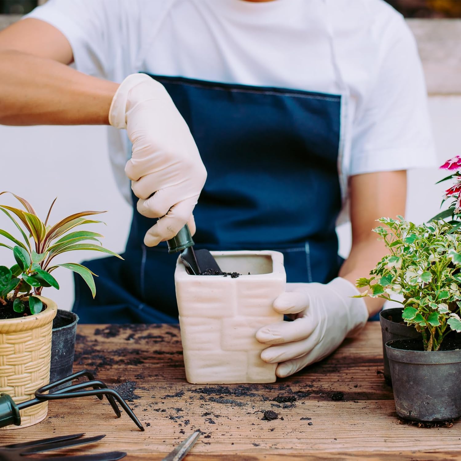 PATIKIL 5 Inch/12.5cm Plastic Plant Pots, 4 Pack Small Flower Pot Planters with Drainage Holes and Saucer for Home Decor Indoor Plants, Black