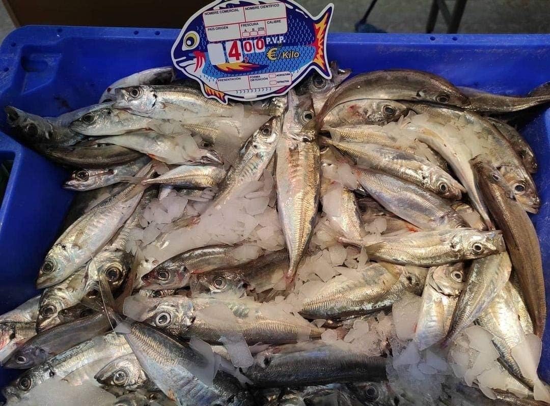 BALSAT Portaprecios pescaderia, Cartel para pescaderia, precios de pescaderia, pizarra precios, pincho pescaderia mod. Nemo - 12 ud.