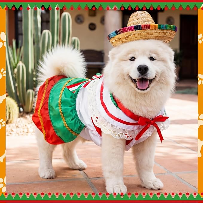 Disfraz Mariachi Mexicano para Perro con Sombrero Talla L miniatura 3