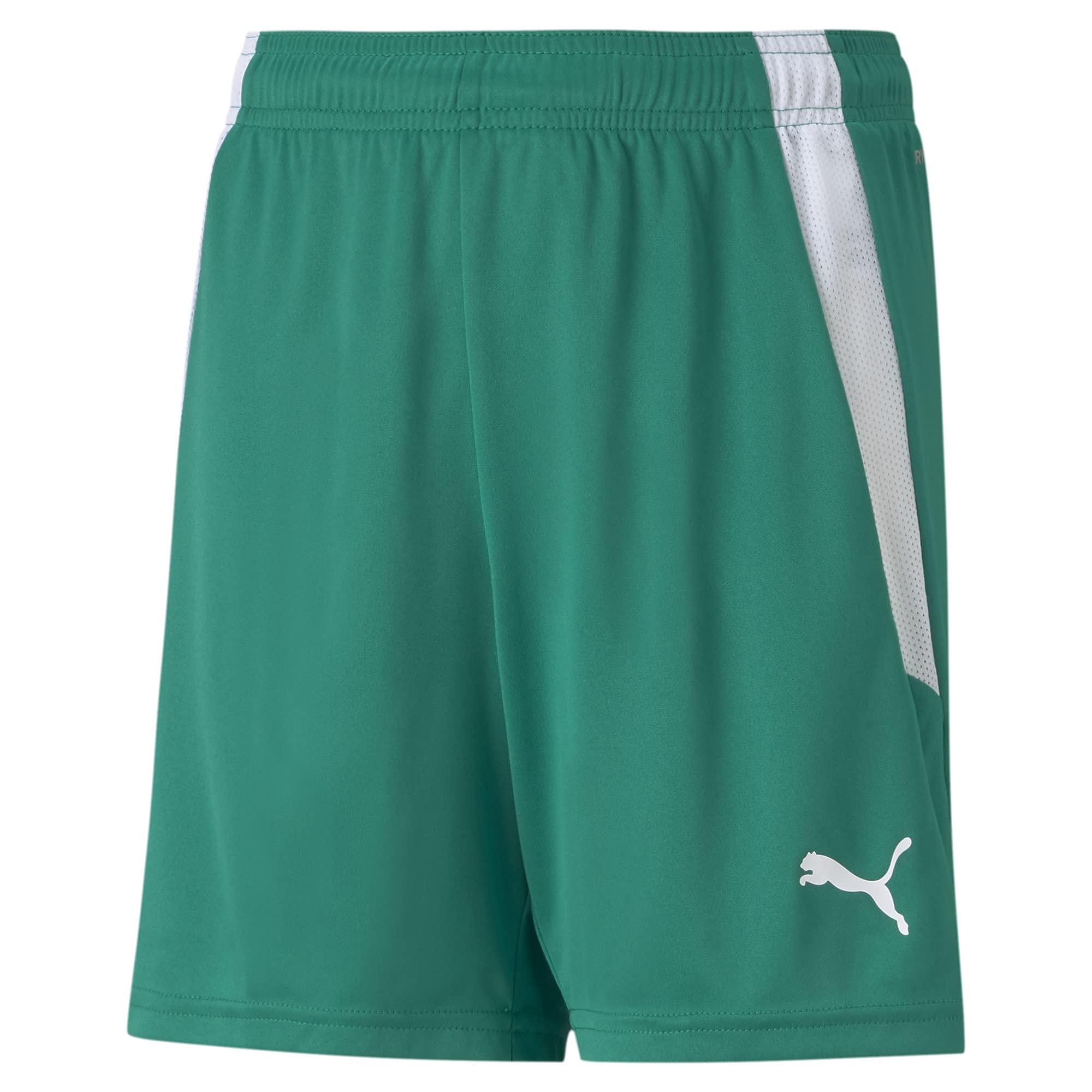 PUMA Teamliga Shorts - Shorty Uniseks - dzieci