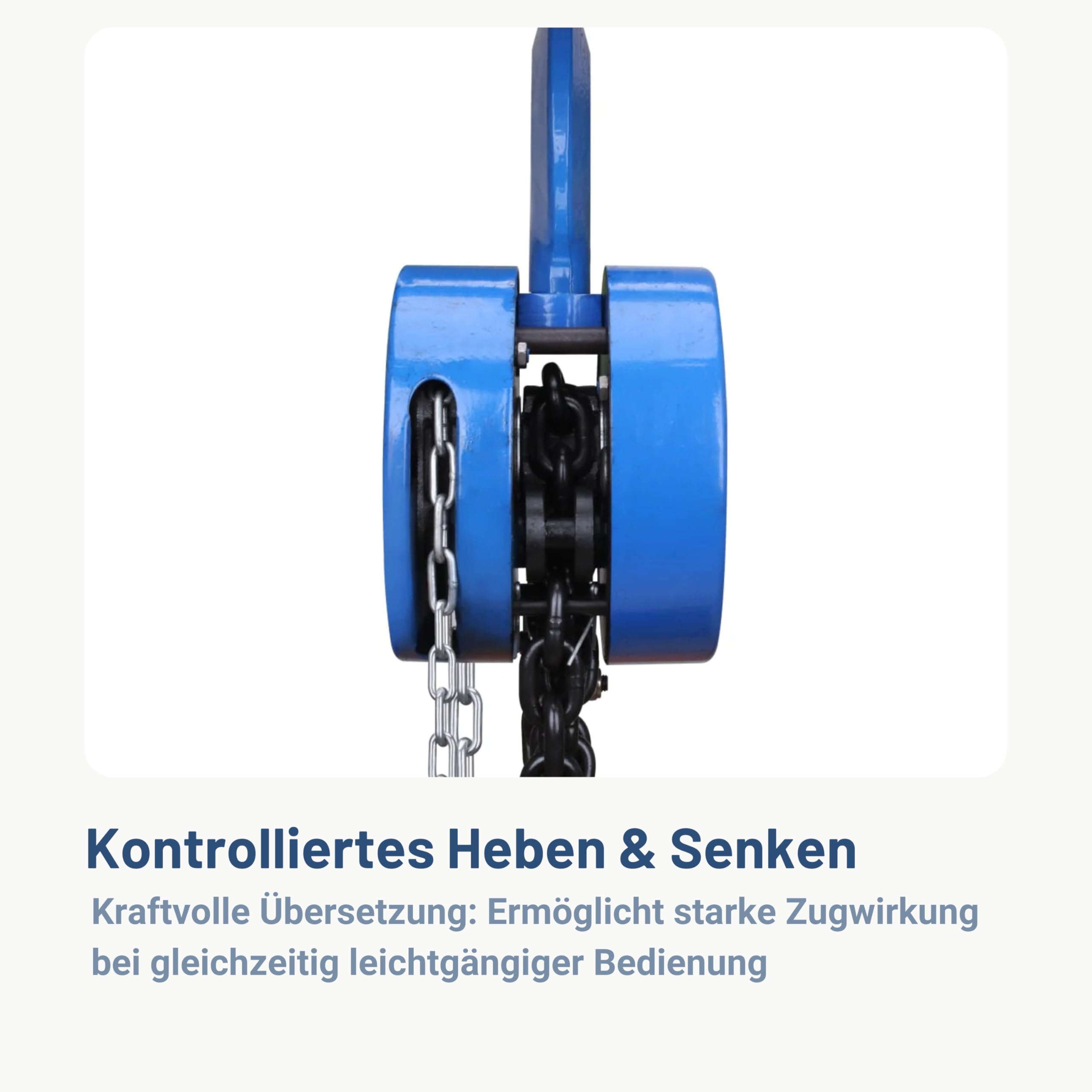 Pallit Kettenzug Flaschenzug 1000 kg Tragkraft mit 2,5 m langer Stahlkette Robuster Seilzug mit 360° drehbarer Haken, Mechanischer Lastbremse und Rücklaufsperre CHAIN-S