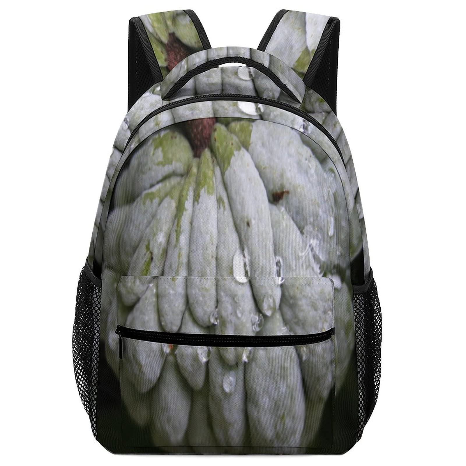 Kindergarten Nursery School Bag Fruit Food Children Schoolbags for Girls SugarApples Cute Cartoon Bag，Travel Backpackfor Boys Girls