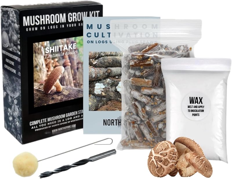 North Spore Organic Shiitake Mushroom Growing Kit, 100ct Log Plugs | Lentinula Edodes Plug Spawns with Drill Bit, Cheese Wax & Dauber, Made in Maine, for Oak, Birch & Hardwood Logs