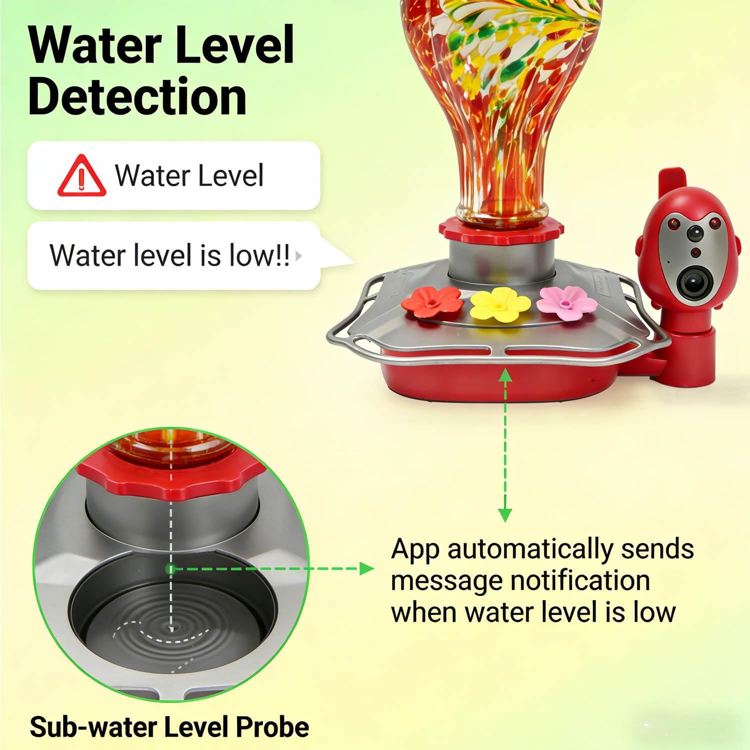 Hummingbird Feeder with Camera, Smart Glass Humming Bird Feeder Camera Solar Powered, AI Identify and Instant Notifications, 2K Live View, Leak-Proof Ant & Bee Proof, Ideal Gift for Bird Lovers - Image 5