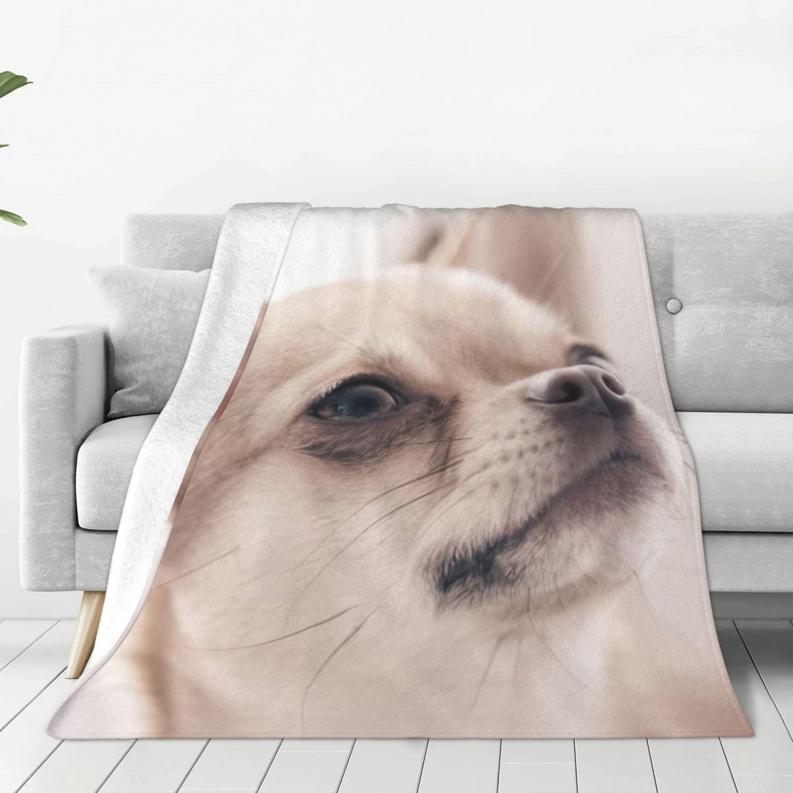 Plaid chihuahua polaire chaud jeté de lit et canapé design