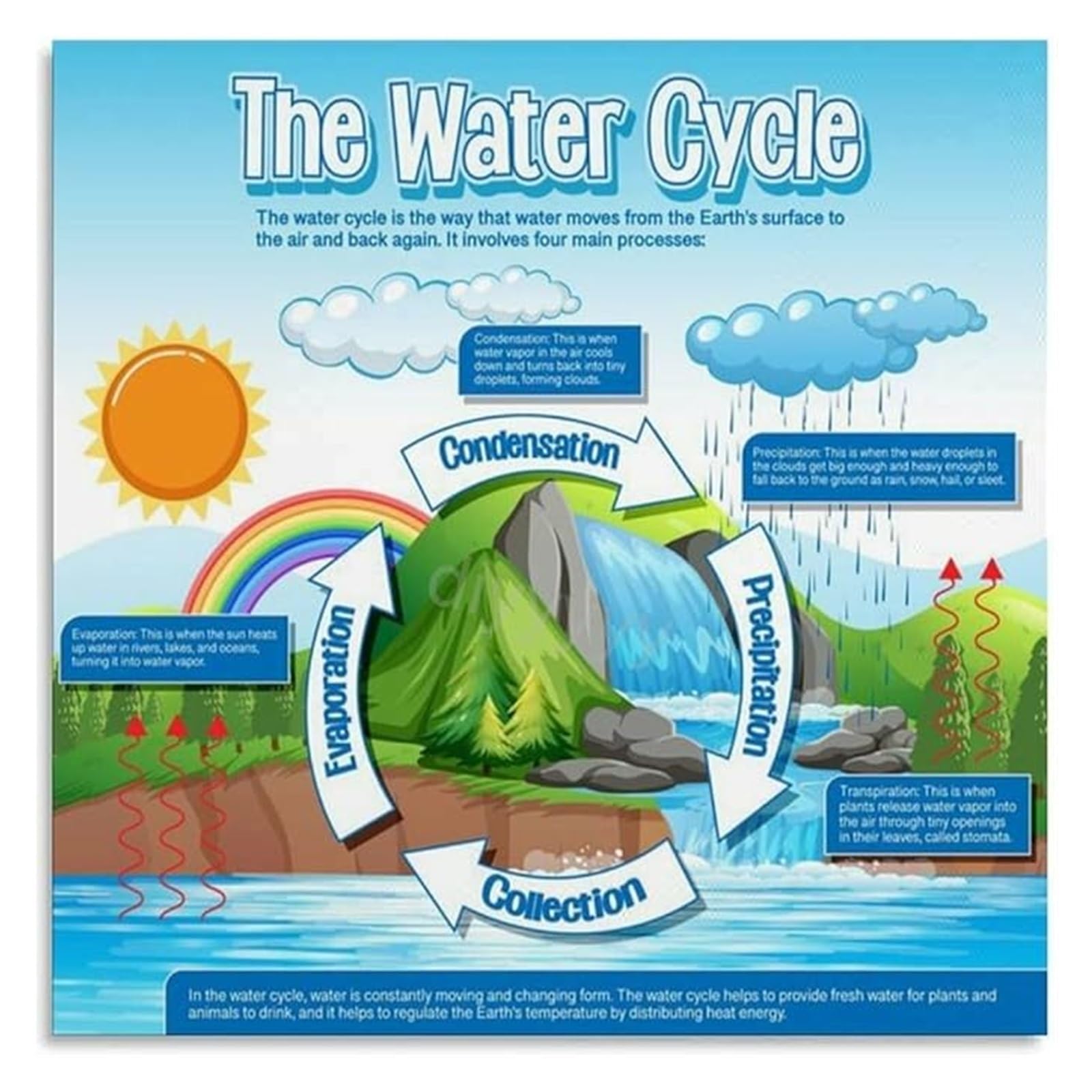 FNYUVNFAF Hydrological Cycle Science Chart Canvas Wall-Art Poster for Educational Playroom or Home Study Decor Framed,16x24inch(40x60cm)