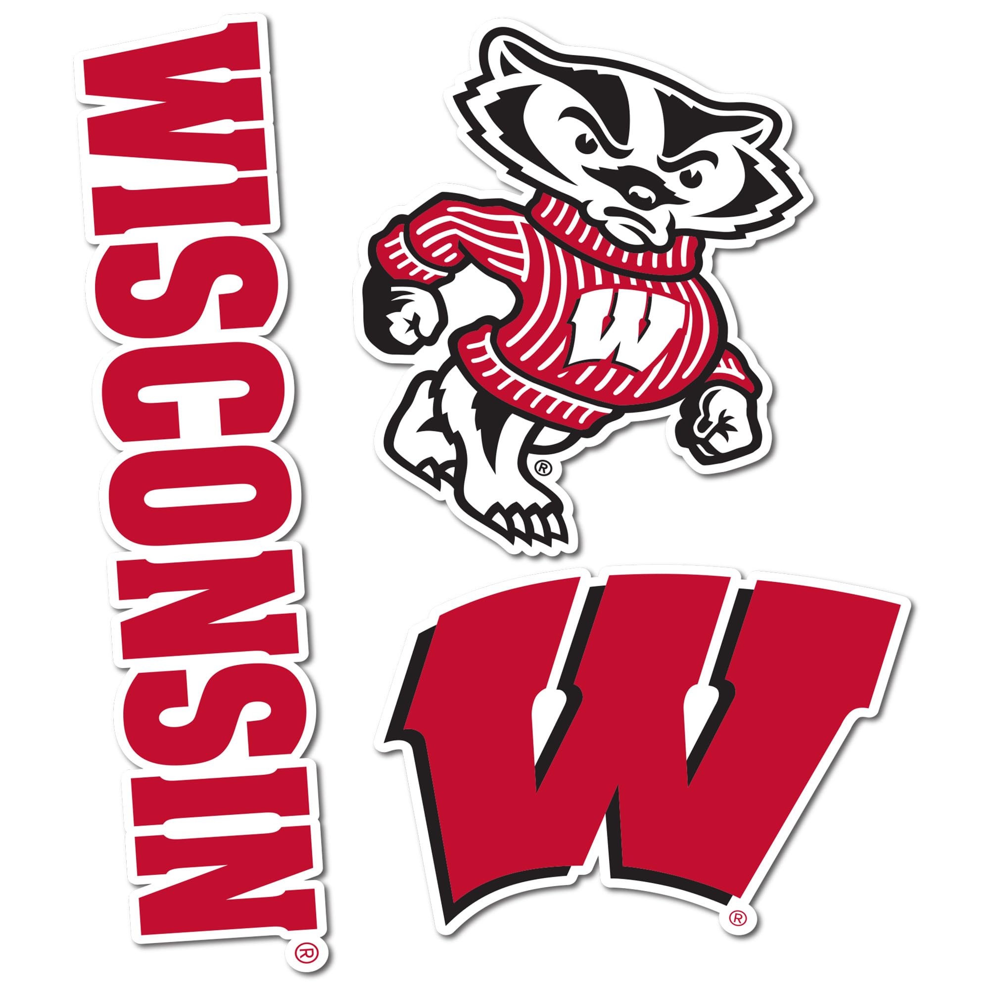 Desert Cactus University of Wisconsin Sticker Badgers UW Madison Vinyl Decals Laptop Water Bottle Car Scrapbook T5 (Type 5-1)