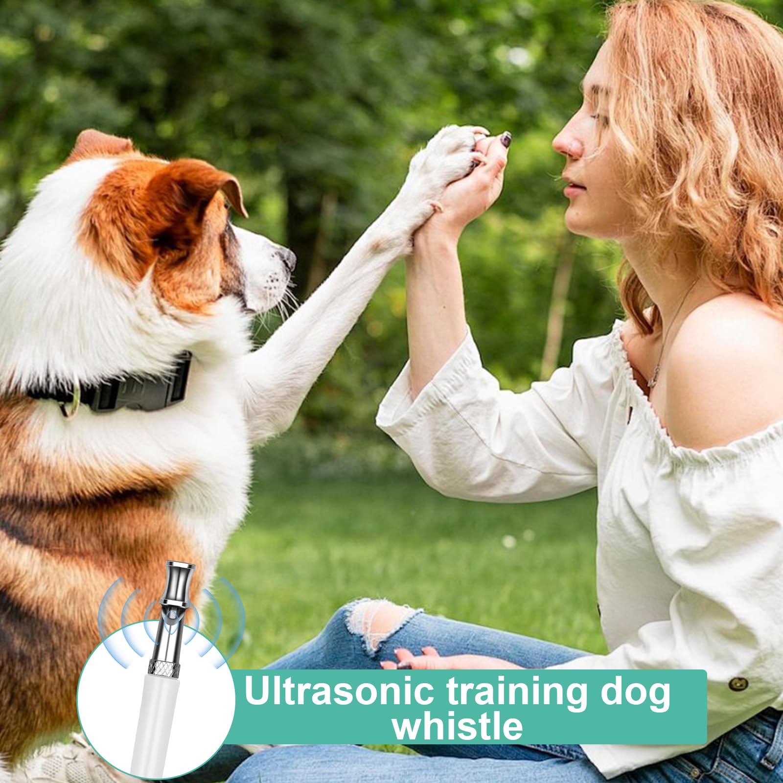 Sifflet Ultrason Chien, Sifflet Chien Rappel, Sifflet Chien avec 2 Longes, Sifflet Ultrason Chien Anti Aboiement, Fort et Longue Portée, Sifflet pour Dressage de Chien (Noir, Blanc)