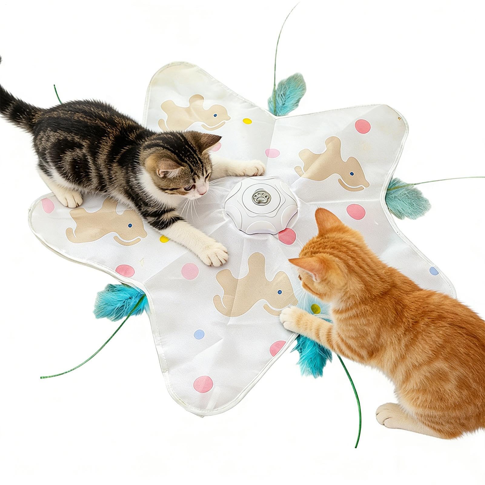 Jeu pour chatons et chats adultes idéal pour s'amuser sur la pelouse du jardin en toute autonomie