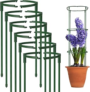 Aowin 12PCS Plant Support Stakes