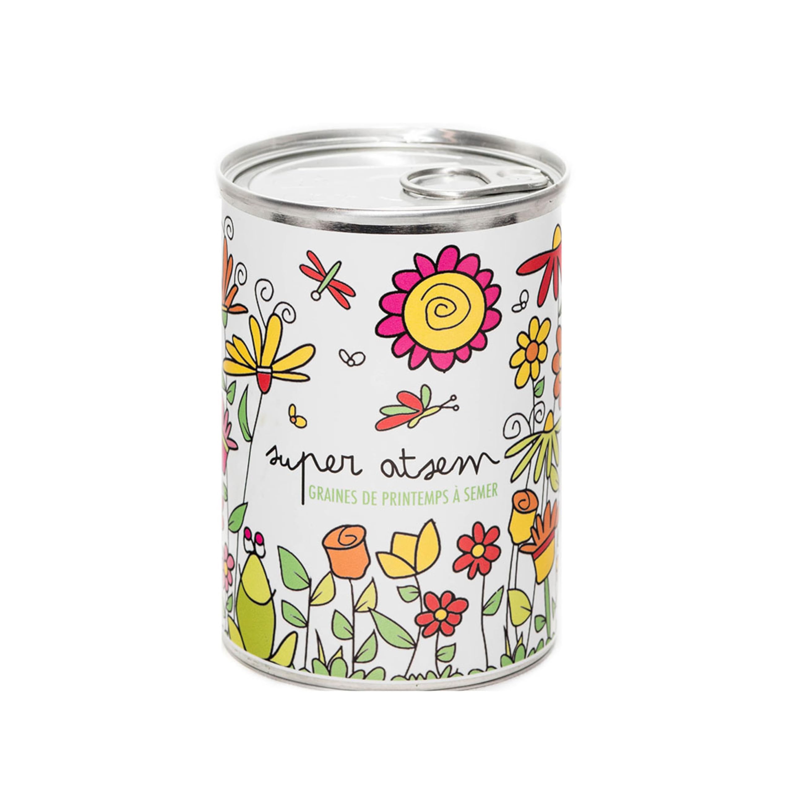 Kit de plantes à semer en boîte : le cadeau sans plastique ultra simple