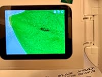 Review Image by bongo bongo