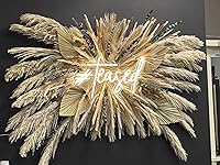 Review Image by A. Cook A. Cook