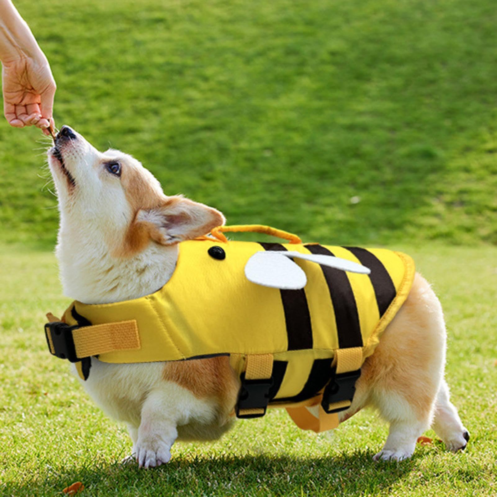 Impermeabile Giubbotto Salvagente per Cani con Ape, Manico e Fibbia a Sgancio Rapido, Costume Galleggiante per Piscina Spiaggia Barca