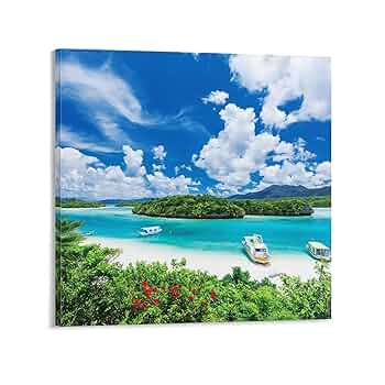 著名な写真家の作品パネル「Look at me 」　沖縄県石垣島の海中にて 著名な写真家の作品パネル「Look at me 」 沖縄県石垣島の海中