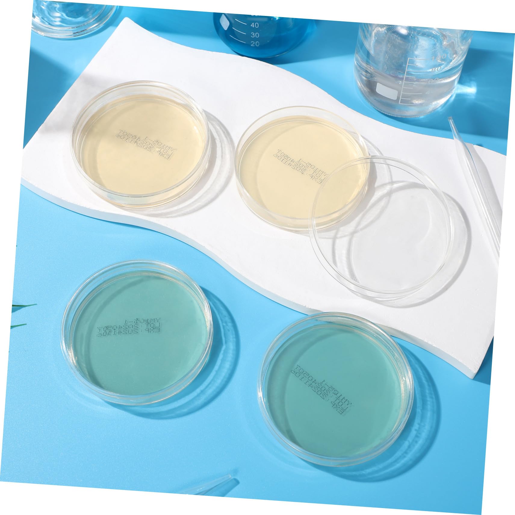 Placas de Agar Nutritivo 10piezas 7cm, Agar de Capa Gruesa | Placas de Petri de Agar Pre-vertido, para Science Class y Stem Science, Decoracion Colegio