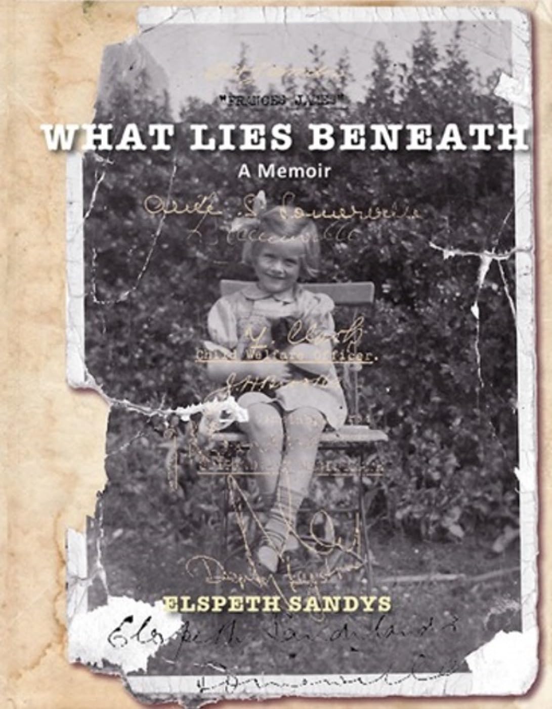 Buy What Lies Beneath — BookShops.in