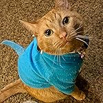 Review Image by Toast Toast