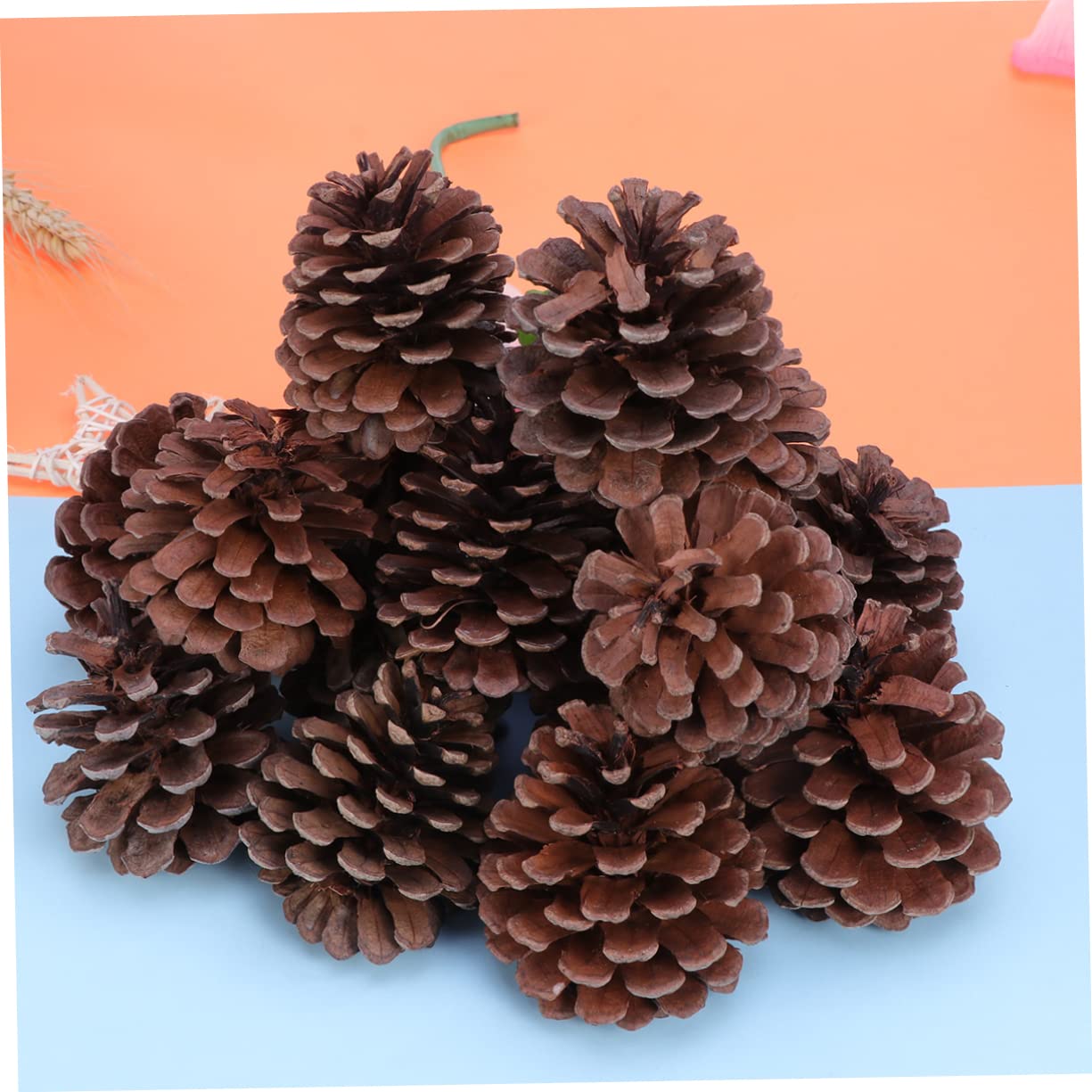 50stücke Natürliche Für Weihnachtsbaum-Dekoration -Dekoration Winterdeko Tischdeko Bastelmaterial Haus Und