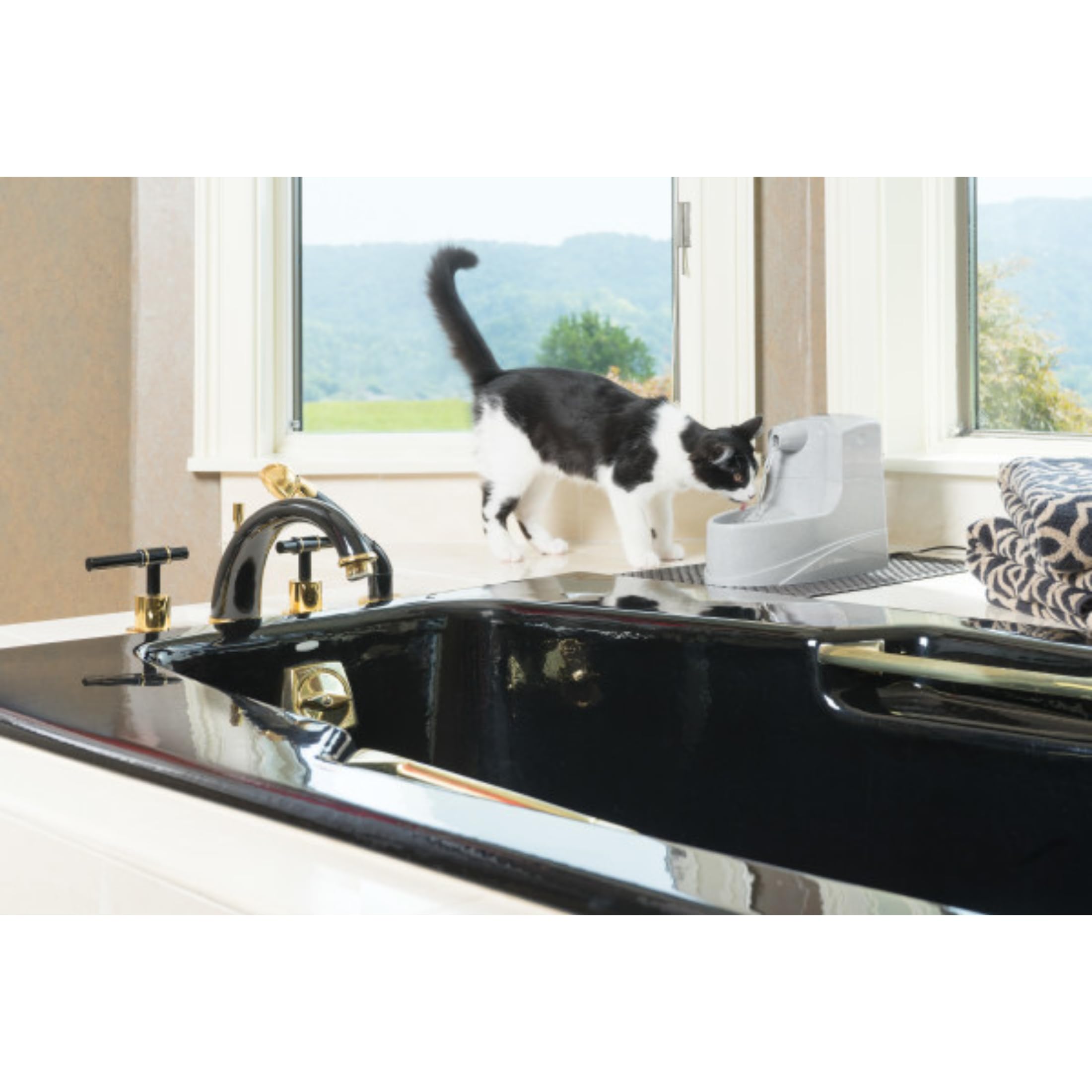 PetSafe Drinkwell mini fontanna do picia, podwójny system filtrowania, odpowiednia dla małych psów i kotów, pojemność 1,2 l