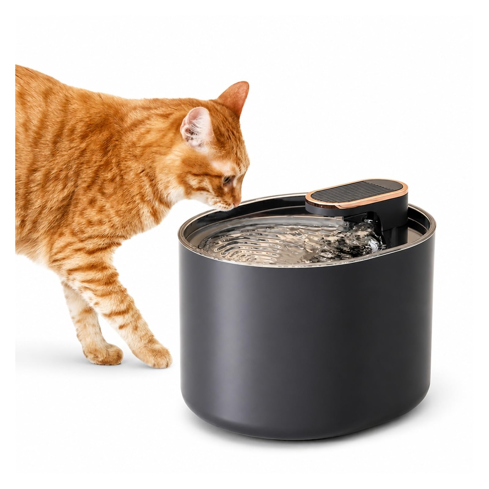 Fuente De Agua para Gatos 3 litros con Sensor Movimiento | Plástico, Luz LED, Ultra Silencioso, Bebedero Mascotas, Dispensador Perros(White)