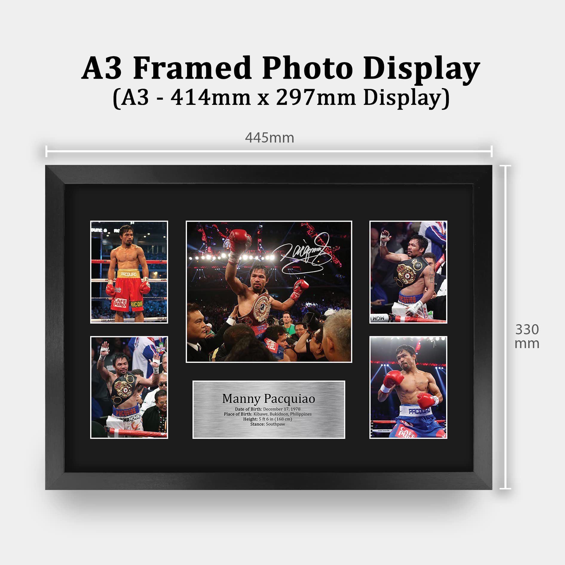 Amazon.com: HWC Trading Manny Pacquiao Boxing 16 x 12 inch