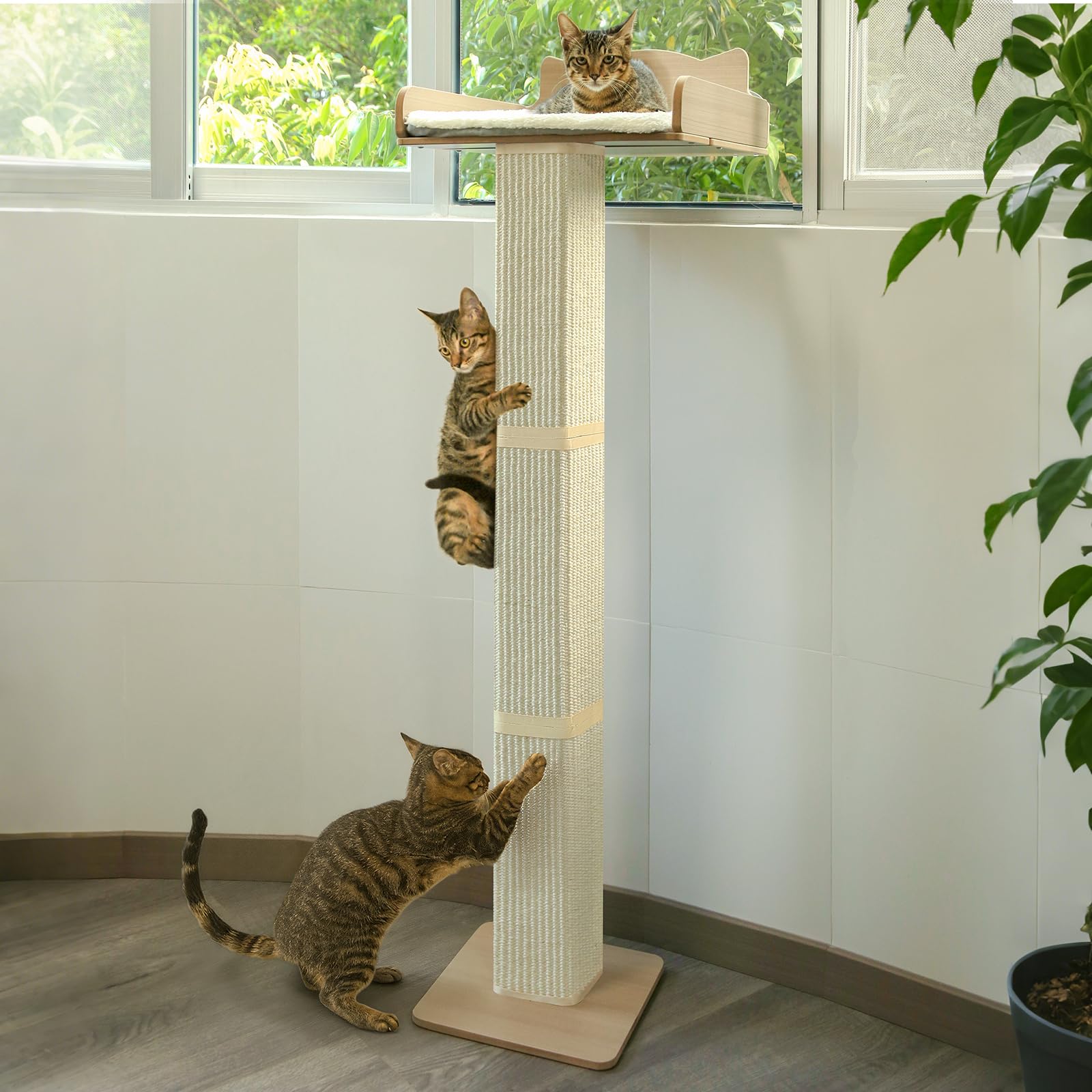 Percha para ventana para gatos con poste rascador de sisal grueso, hamaca para gatos para ventana, poste rascador ajustable de 53.5 pulgadas para gatos con 2 ventosas mejoradas, cama de ventana para