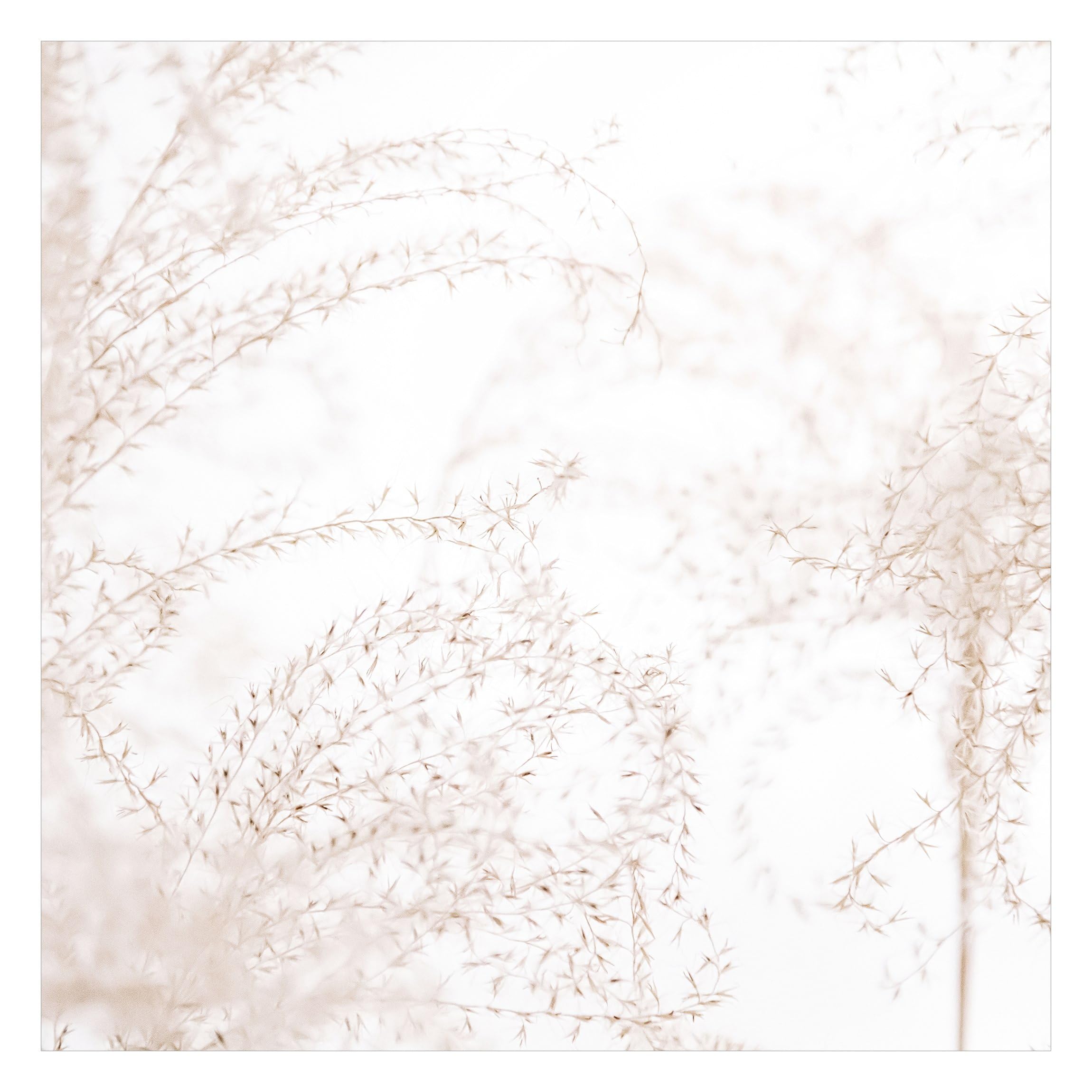 Papier peint panoramique fleuri haute résistance aux UV