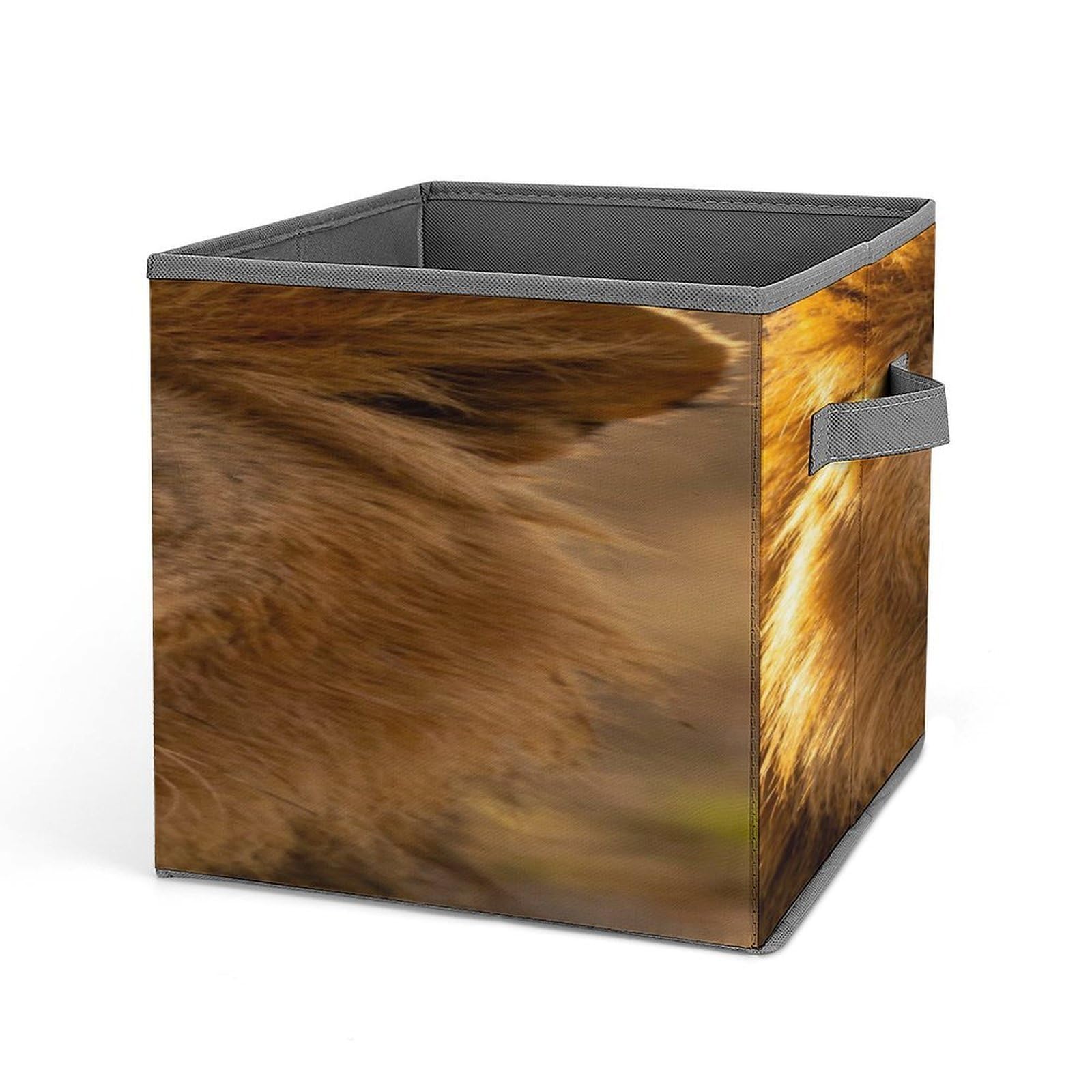 Fekiloot Style Lion Storage Bins Storage Baskets