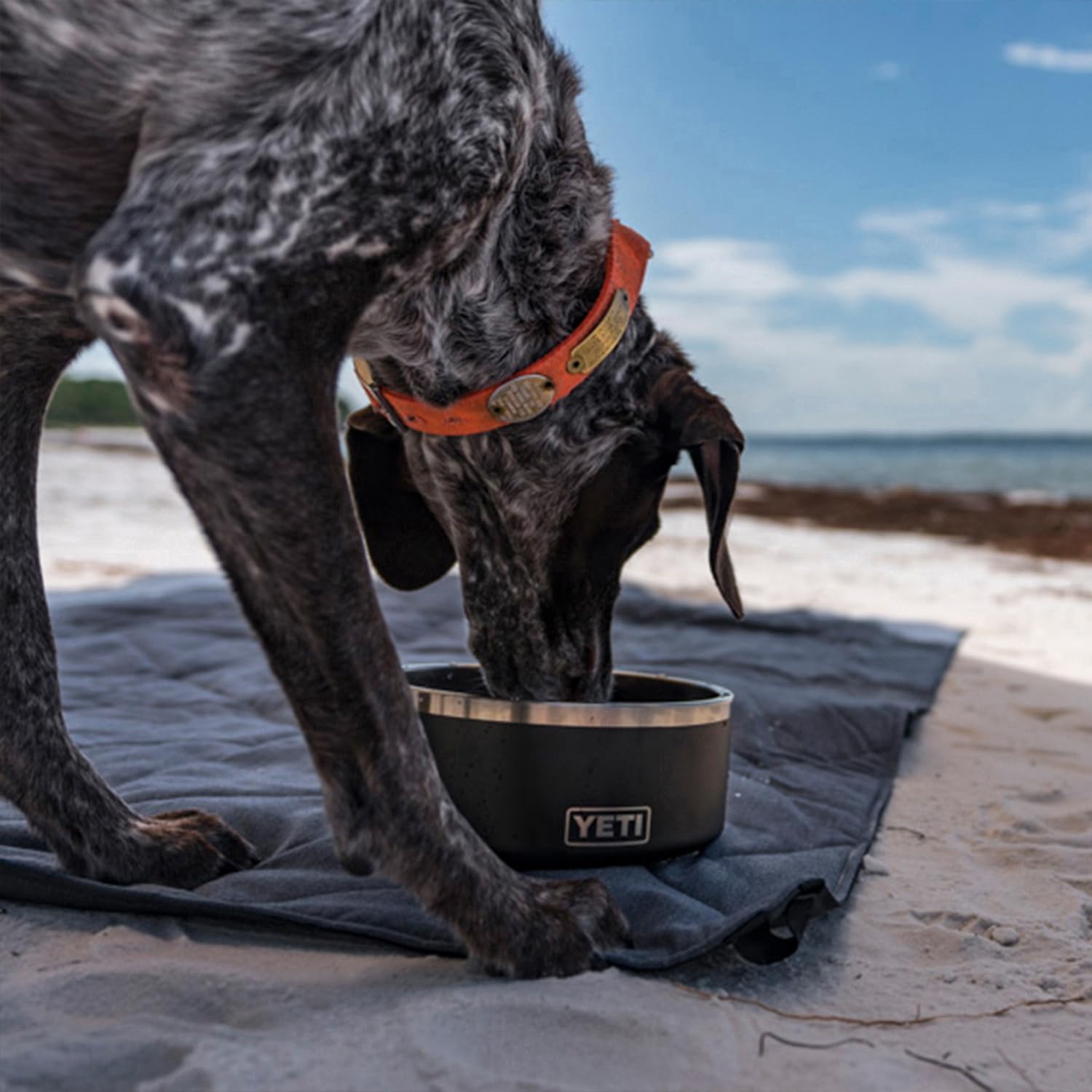 YETI Boomer 8, cuenco antideslizante de acero inoxidable para perros, capacidad para 64 onzas, camuflaje de humedales