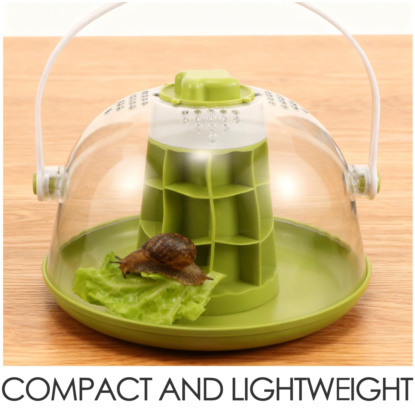 Ciieeo Terrario Osservazione Lumache Trasparente ABS Rettangolare 20 Cm | Base Removibile, Aperture Accessibili e Fondo Solido, Fori di Ventilazione per Uso Scolastico e Gite in Famiglia