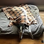 Review Image by Bigh Bigh