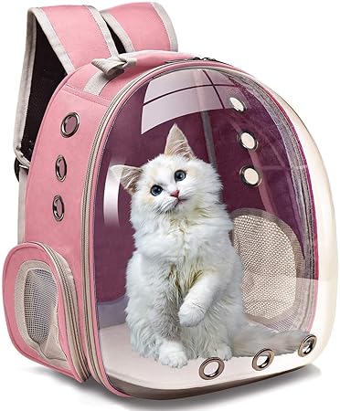 RvPaws Pet Transparent Cat Carrier Backpack Puppy Kitty Breathable Carriers for Travel Capsule Backpack (Color May Vary)
